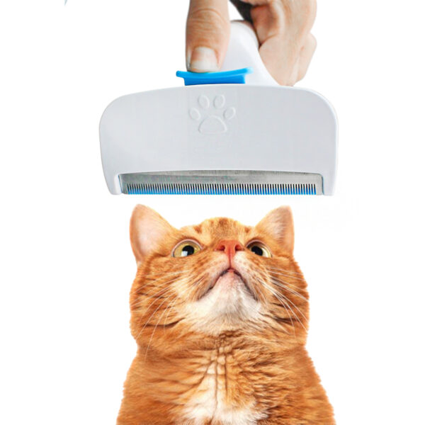 Rasqueadeira Removedor Tira Pelos Pet Animais Higienico - Image 2
