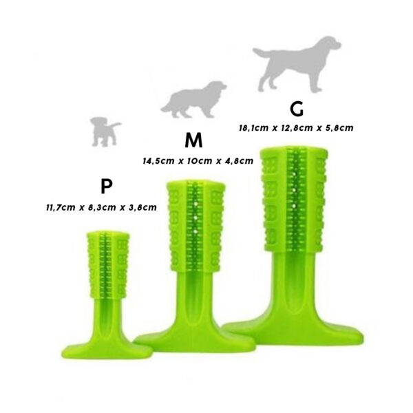 Brinquedo Mordedor Escova De Dente Para Cachorro G Dog - Image 3
