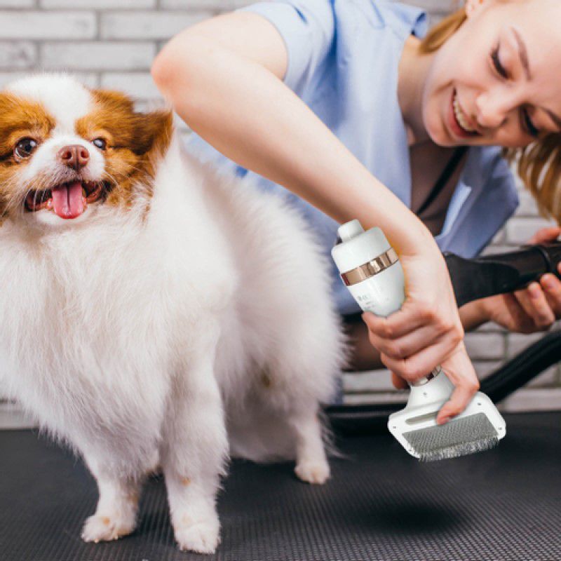 Escova Secadora De Pelos Para Pet Cachorro Gato - Imagem 5