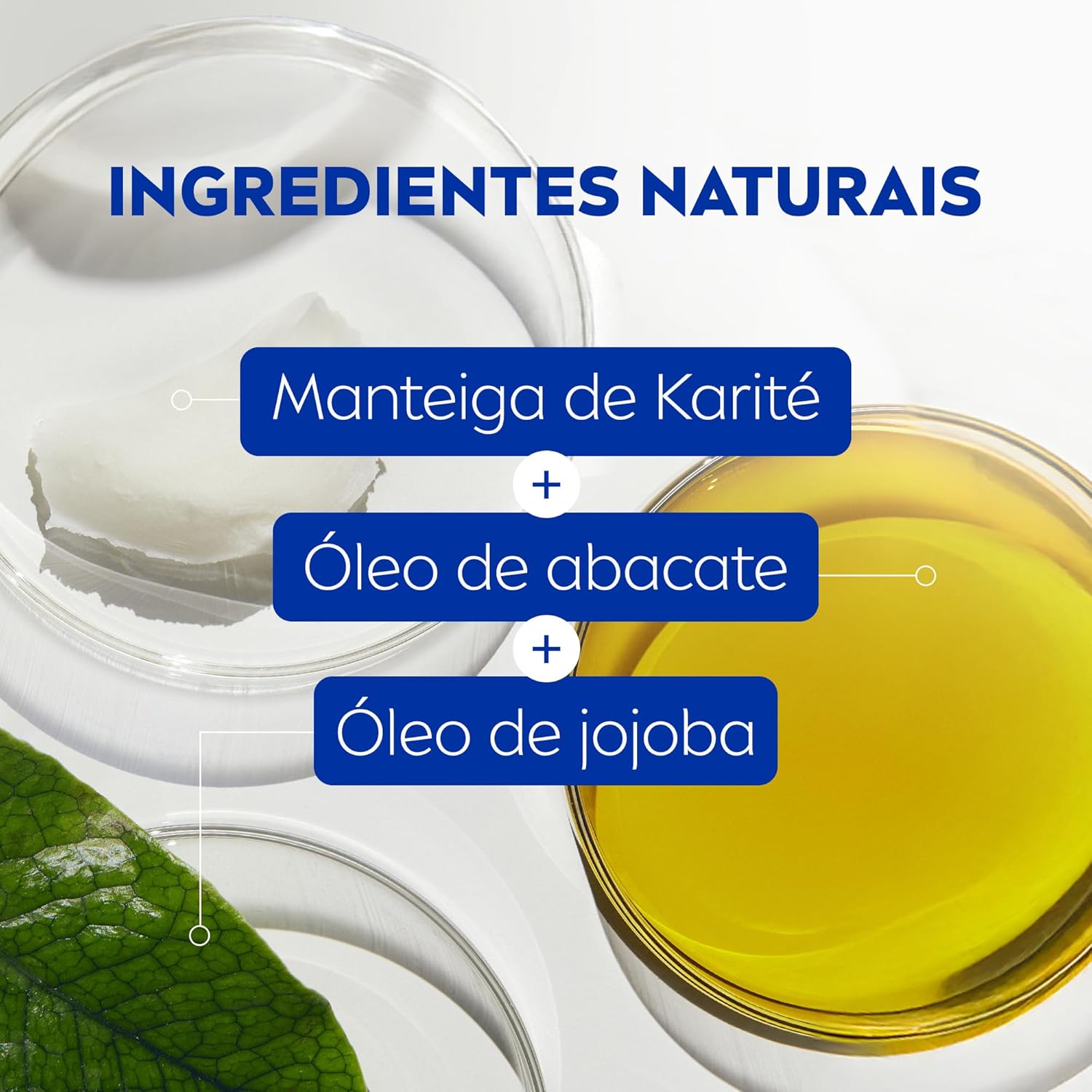 NIVEA Hidratante Labial Amora Shine 4,8g, Hidratação Intensa 24h, Cor Suave, Brilho Delicado, Cuidado Diário, Manteiga de Karité - Imagem 5