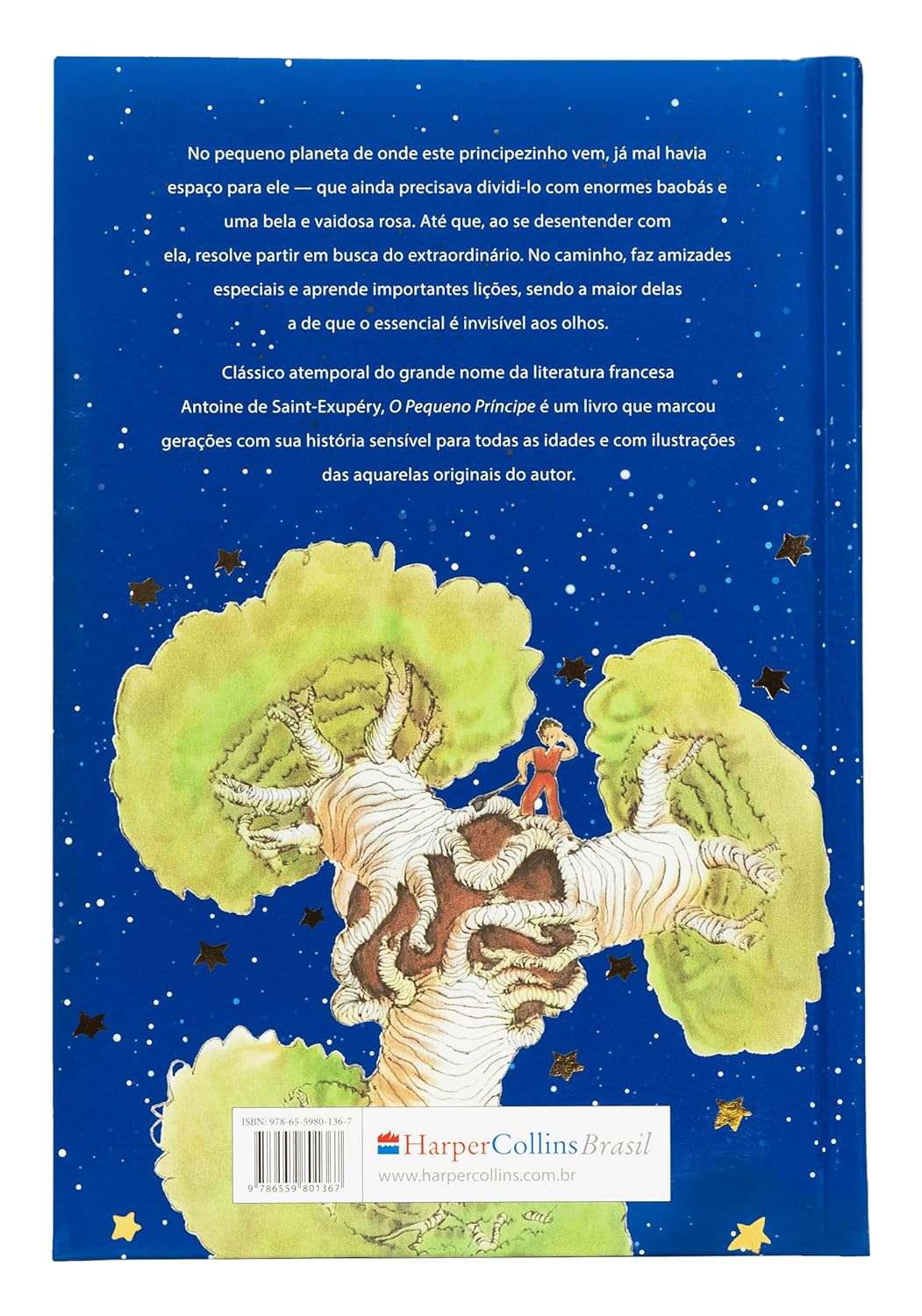 O Pequeno Príncipe – Edição de luxo com capa dura almofadada e aquarelas originais do autor - Imagem 4