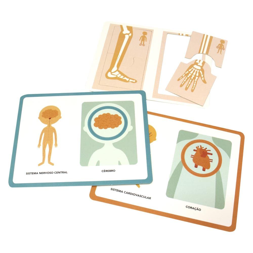 Escolinha MONTESSORI Meu P BOX de Atividades: Corpo Humano (Escolinha) - Imagem 5