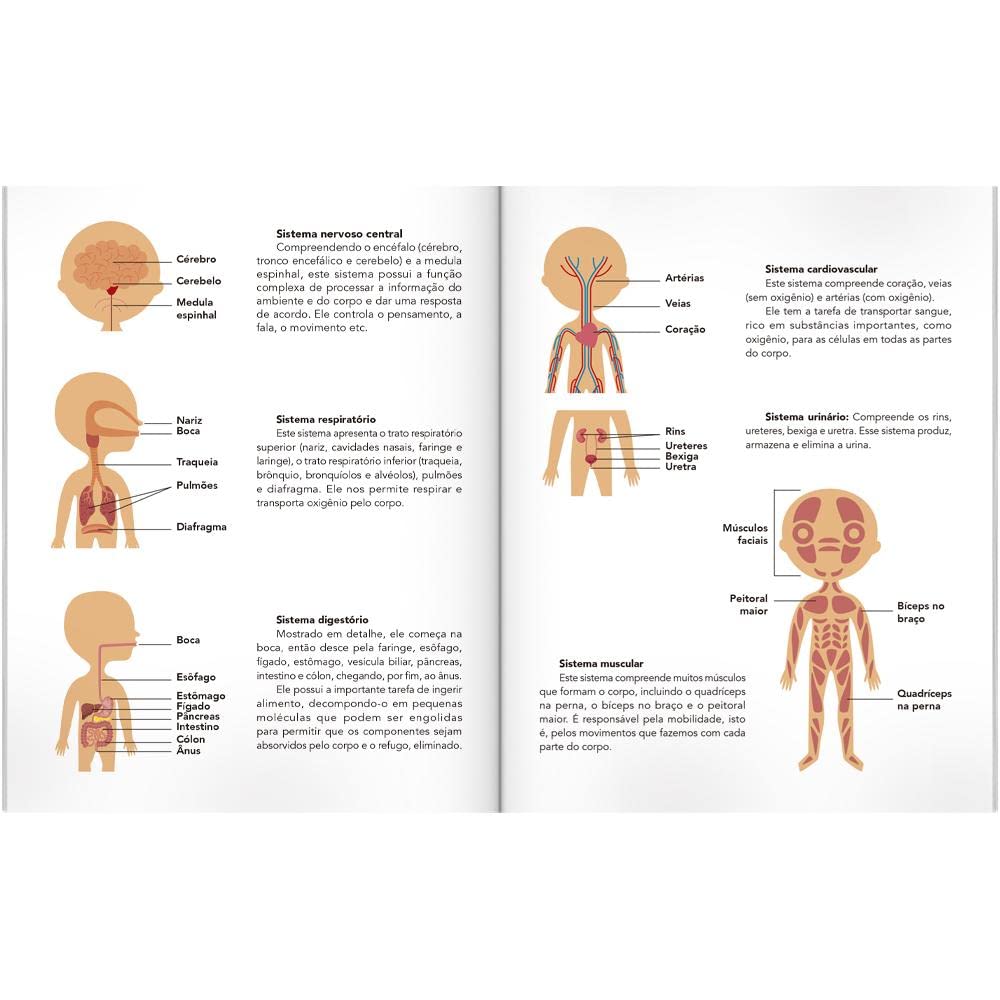 Escolinha MONTESSORI Meu P BOX de Atividades: Corpo Humano (Escolinha) - Imagem 3