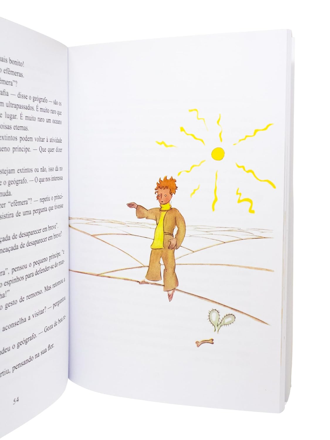O Pequeno Príncipe (Original): Tradução original com aquarelas do autor - Imagem 7