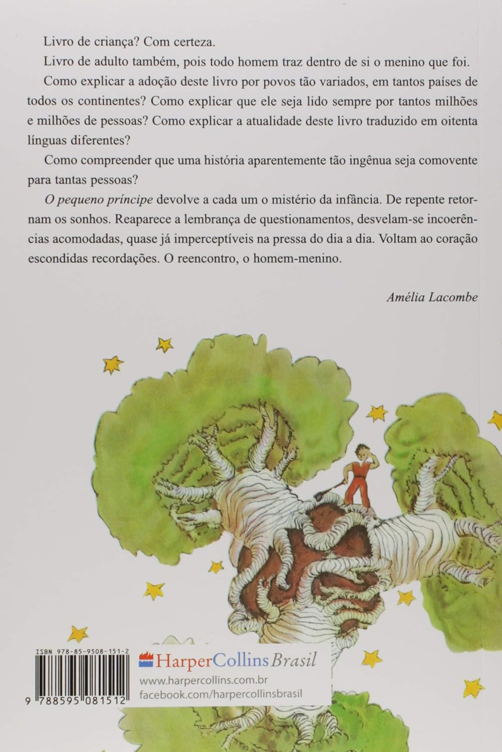 O Pequeno Príncipe (Original): Tradução original com aquarelas do autor - Imagem 2