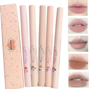 Conjunto de 5 canetas delineadoras de lábios, conjunto de 5 peças de batom rosa nude, lápis labial à prova d'água com acabamento fosco cremoso para definir a forma perfeita dos lábios