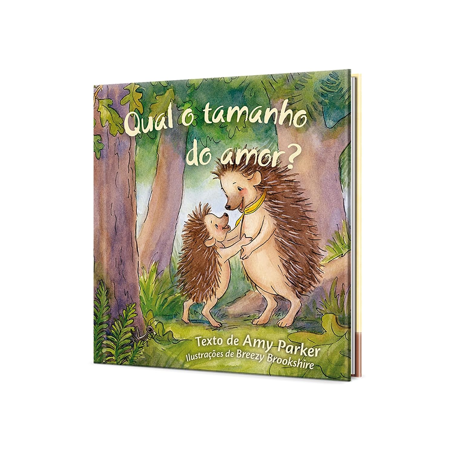 Qual o tamanho do amor?: A beleza e força do amor de Deus explicadas de forma encantadora para os pequenos (Volume 1) - Imagem 5
