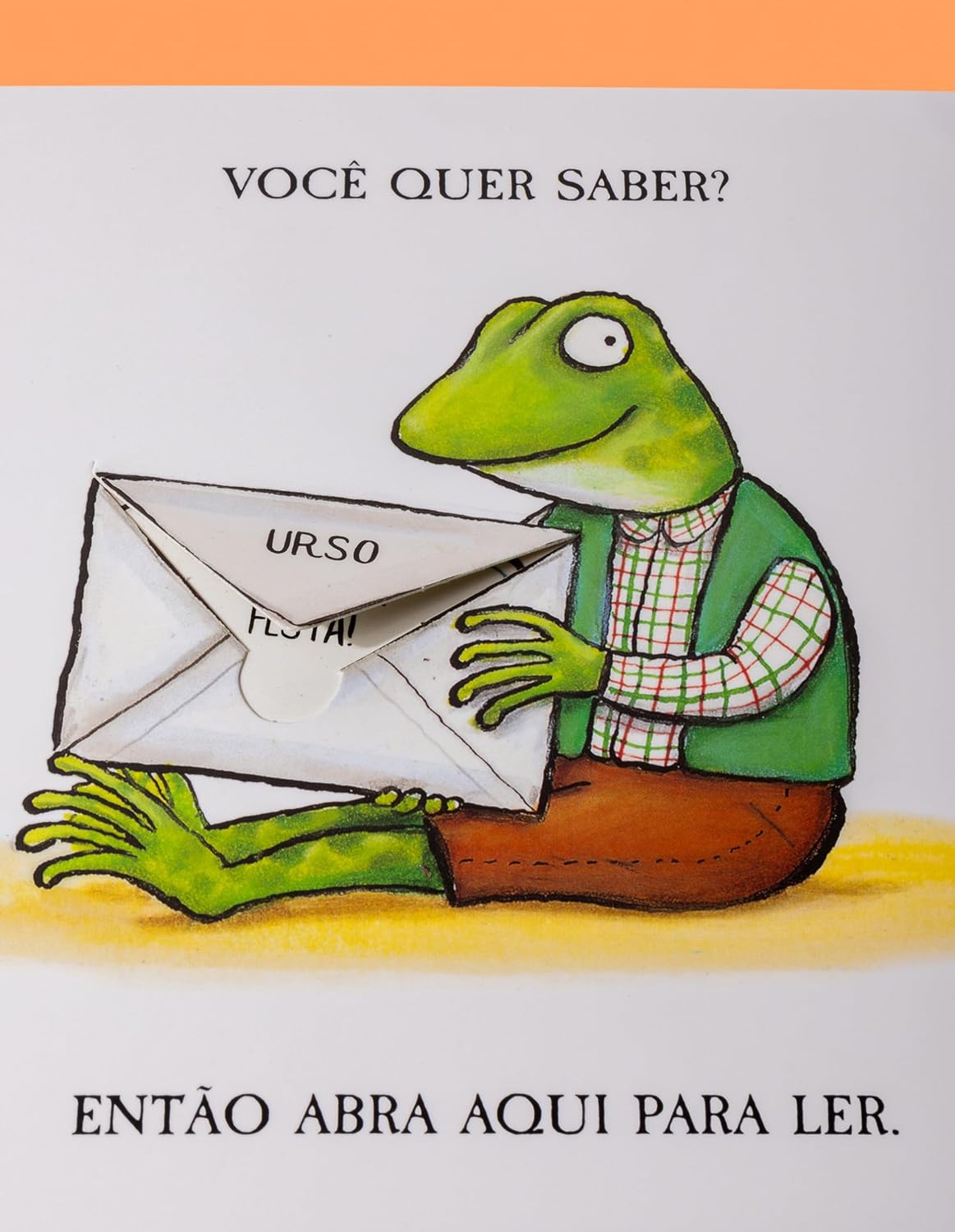 O Urso carteiro - Imagem 6